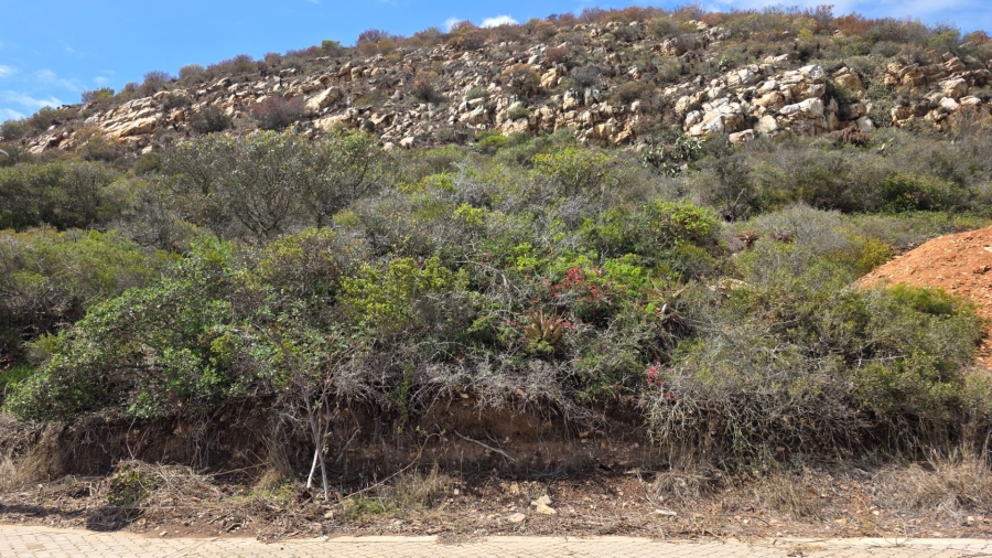 Commercial Property for Sale in Vakansieplaas Western Cape